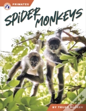 Capa do artigo Spider Monkeys