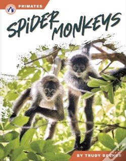 Capa do artigo Spider Monkeys