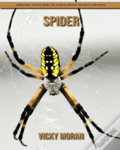 Capa do artigo Spider