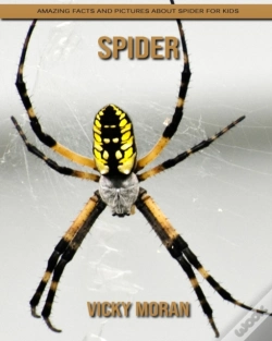 Capa do artigo Spider