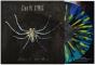 Spider On the Wall - Vinil - Preview