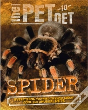 Capa do artigo Spider