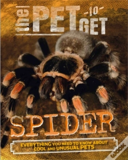 Capa do artigo Spider