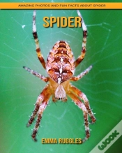 Capa do artigo Spider