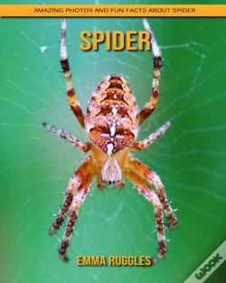 Capa do artigo Spider