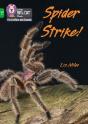Spider Strike! - Preview