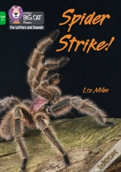 Capa do artigo Spider Strike!