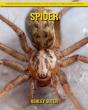 Spider - Preview