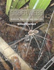 Spider Webs
