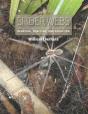 Spider Webs - Preview