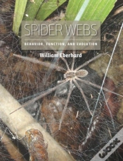 Capa do artigo Spider Webs