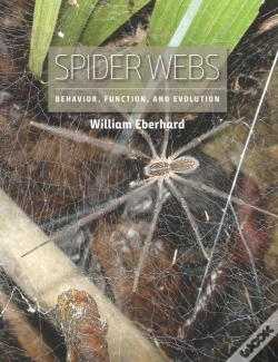 Capa do artigo Spider Webs