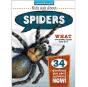 Spiders - Preview
