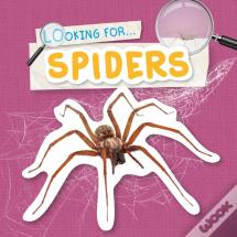 Spiders