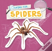 Capa do artigo Spiders