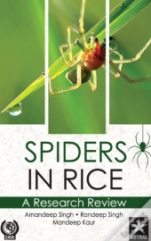 Spiders In Rice