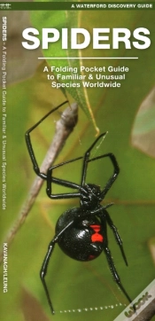 Capa do artigo Spiders