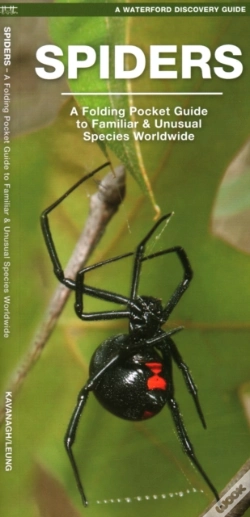 Capa do artigo Spiders