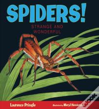 Spiders!