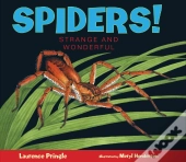 Spiders!