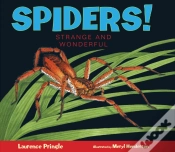 Capa do artigo Spiders!