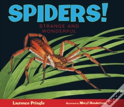 Capa do artigo Spiders!