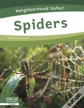 Capa do artigo Spiders