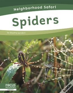 Capa do artigo Spiders