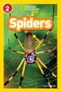 Spiders - Preview