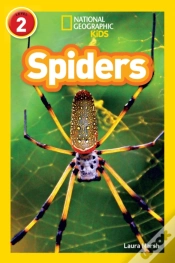 Capa do artigo Spiders