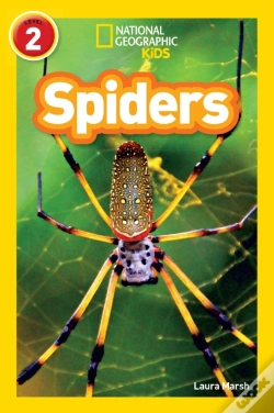 Capa do artigo Spiders