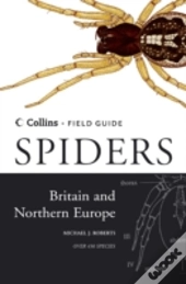 Spiders Of Britain And Northern Europe