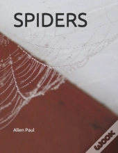 Spiders