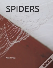 Capa do artigo Spiders