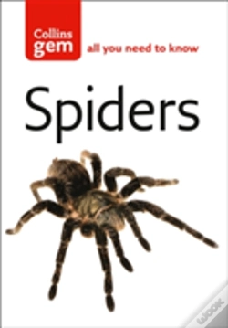Capa do artigo Spiders