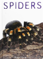 Spiders - Preview