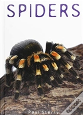 Spiders