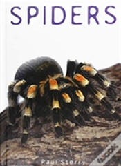 Capa do artigo Spiders