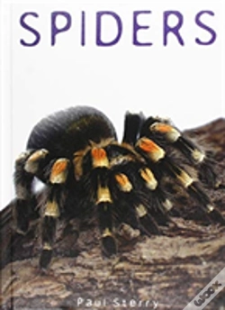 Capa do artigo Spiders