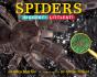 Spiders - Preview