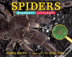 Capa do artigo Spiders