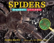 Capa do artigo Spiders