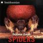 Spiders - Preview