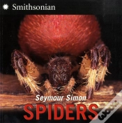Capa do artigo Spiders