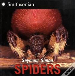 Capa do artigo Spiders