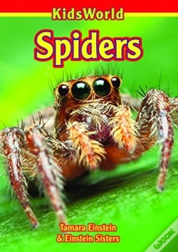 Capa do artigo Spiders