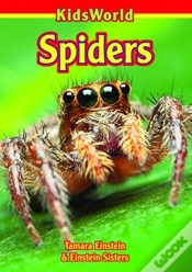 Capa do artigo Spiders