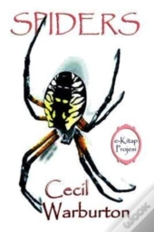 Spiders