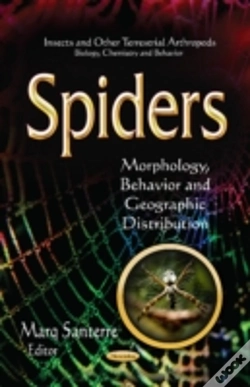 Capa do artigo Spiders