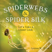 Spiderwebs And Spider Silk